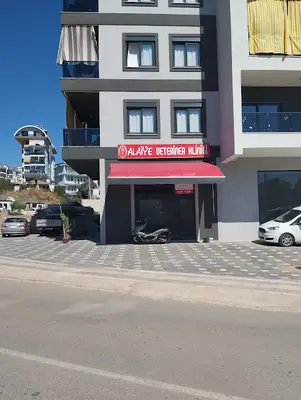 Alaiye veteriner kliniği