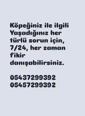 Köpek Eğitmeni Sadık Esin