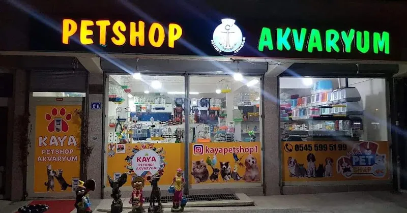 Kaya Akvaryum Petshop foto 1
