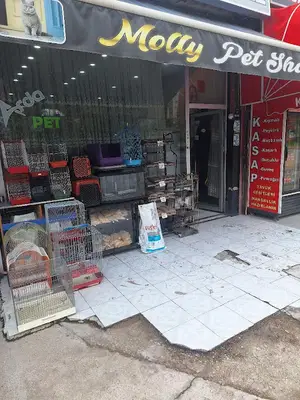 MOLLY PET SHOP