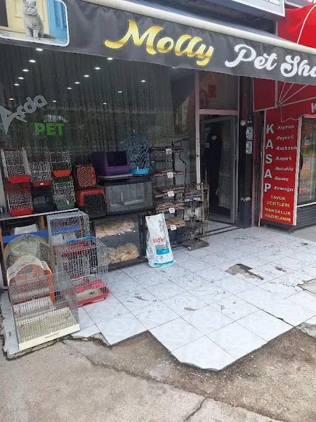 MOLLY PET SHOP foto 2