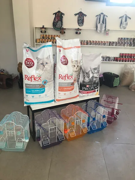 Pethome petshop foto 2