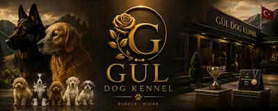 GÜL KÖPEK ÜRETİM ÇİFTLİĞİ