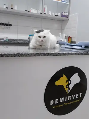 Demircioğlu Veteriner Kliniği