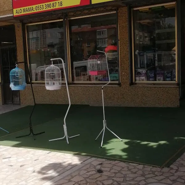Öz Ankara pet market foto 2