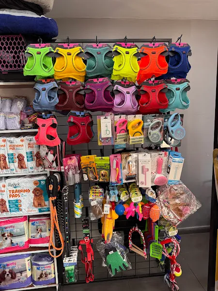 Eser Pati Petshop foto 2