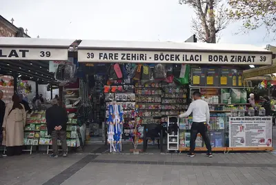 Bora İthalat
