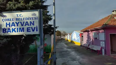 Çorlu Belediyesi Hayvan Barınağı