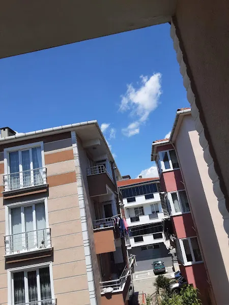 Çorlu Belediyesi Hayvan Barınağı foto 2