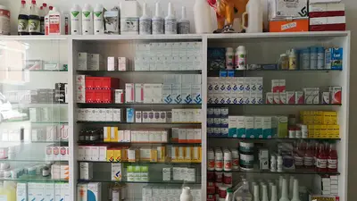 Karadeniz Veteriner Kliniği Sarayköy/DENİZLİ