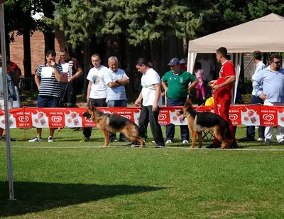 Von Grand Köpek Çiftliği Eğitim Merkezi fotoğrafı