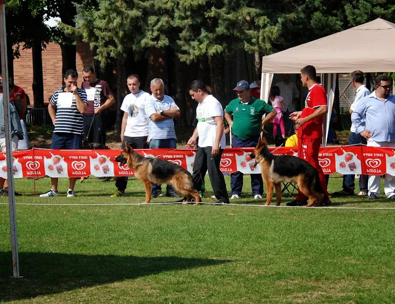 Von Grand Köpek Çiftliği Eğitim Merkezi foto 1