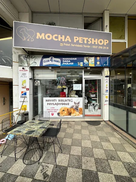 Mocha Petshop foto 1