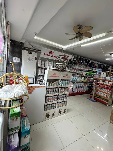 Mocha Petshop foto 2