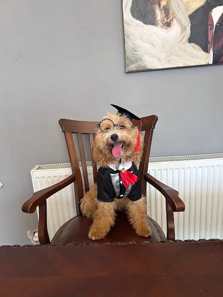 Cesur K9 Köpek Eğitim Merkezi ve Oteli foto 2