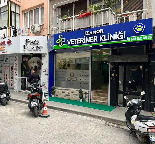İZAMOR VETERİNER KLİNİĞİ foto 1