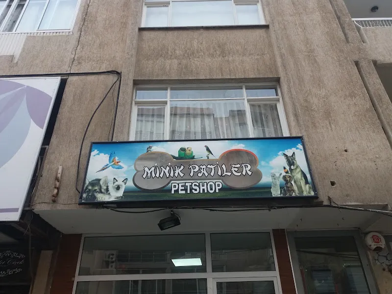 Minik Patiler PET MARKET foto 1