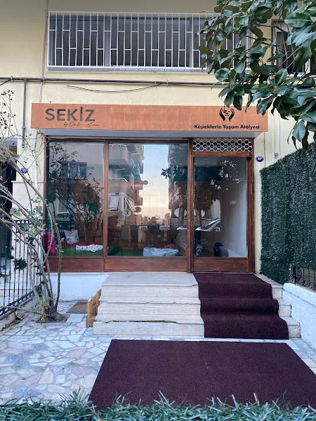 Sekiz by Özlem Geran Göztepe foto 2