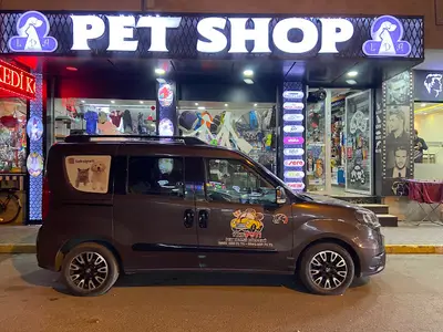 Pet Taksi Türkiye