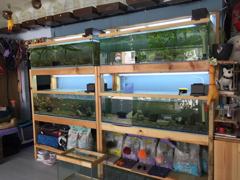 Nil Pet Shop foto 2