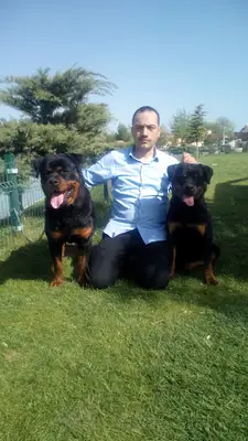 VON LASYU KENNEL / AFYON ROTTWEİLER