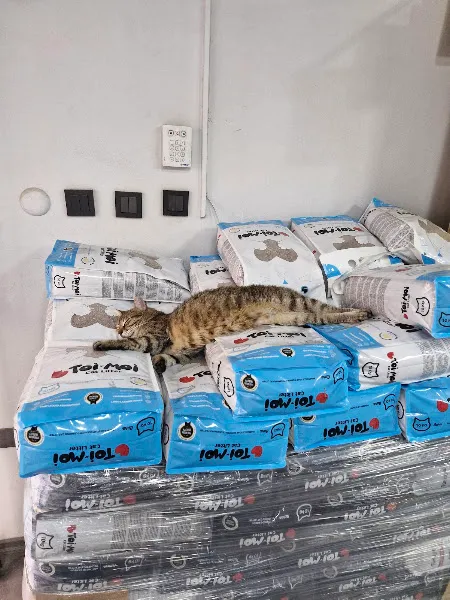 Petra Petshop - Kuaför foto 2