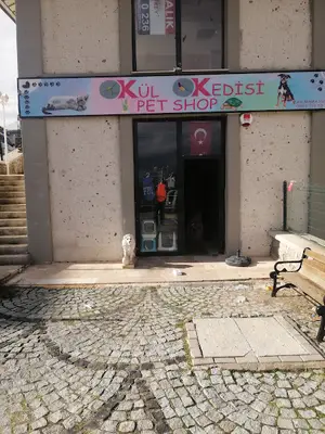 KÜL KEDİSİ PET SHOP