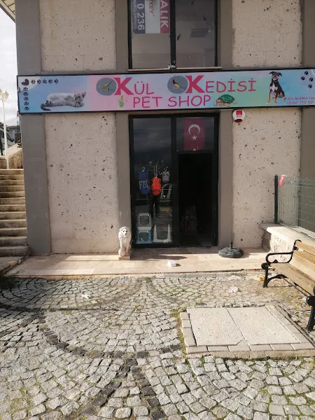 KÜL KEDİSİ PET SHOP foto 1
