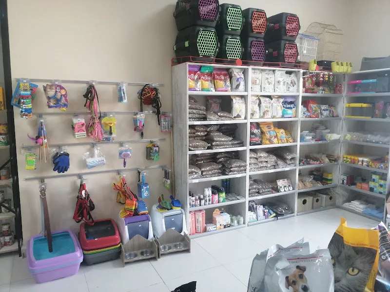 KÜL KEDİSİ PET SHOP foto 2