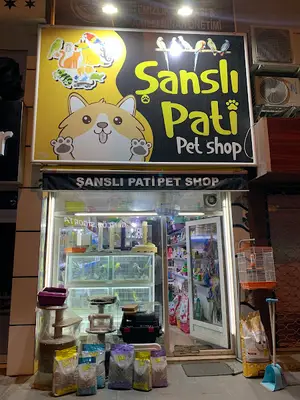 Şanslı pati kayseri