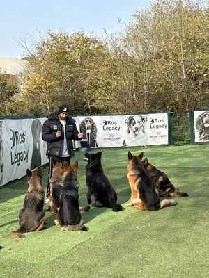 Ros'Legacy Köpek Eğitimi ve Oteli fotoğrafı