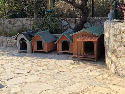 Köpek Barınağı