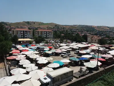 Havza Canlı Hayvan Pazarı
