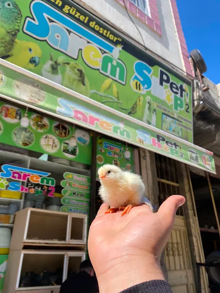 Sarem petshop 2 foto 1