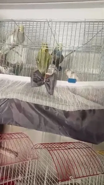 Empati Petshop foto 2