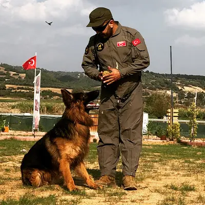 RODİ KÖPEK EĞİTİM MERKEZİ & KÖPEK OTELİ