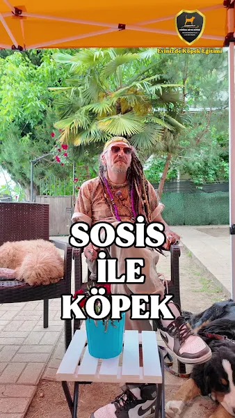 Evinizde Köpek Egitimi foto 1
