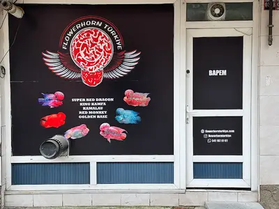 FLOWERHORN TÜRKİYE