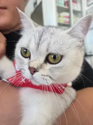 Çan-vet Veteriner Kliniği