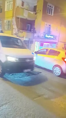 sefaköy KÖPEK EĞİTİM EVCİL PET KUAFÖRÜ EVCİL HAYVAN PANSİYONU fotoğrafı