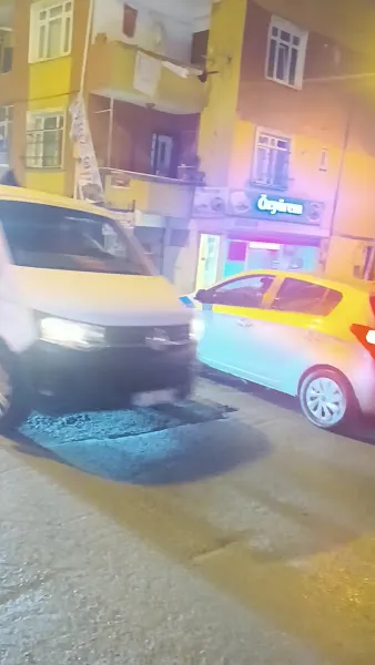 sefaköy KÖPEK EĞİTİM EVCİL PET KUAFÖRÜ EVCİL HAYVAN PANSİYONU foto 1