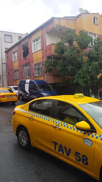 sefaköy KÖPEK EĞİTİM EVCİL PET KUAFÖRÜ EVCİL HAYVAN PANSİYONU foto 2