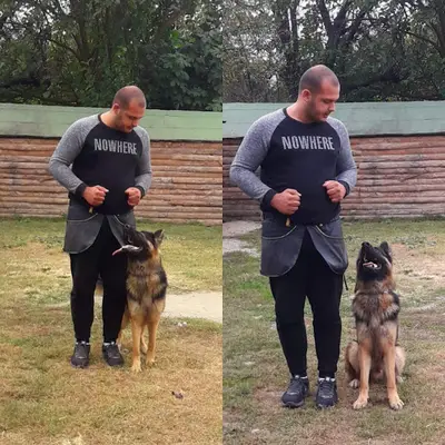 Bursa Yavru Köpek Sahiplendirme fotoğrafı