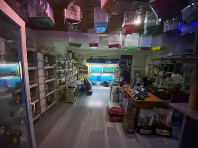Miss Pet Market