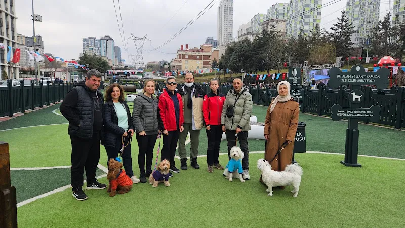 ÜMRANİYE BELEDİYESİ KÖPEK EĞİTİM MERKEZİ-ÜMKEM foto 2