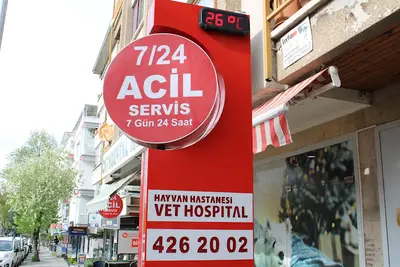 Hayvan hastanesi