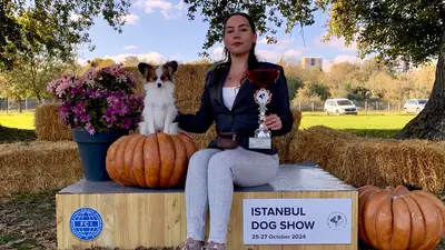 Atakent Köpek Eğitmeni fotoğrafı