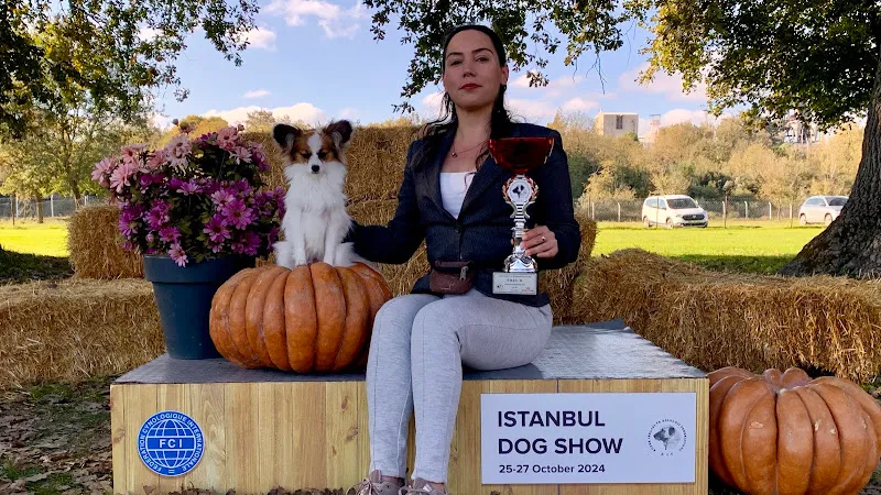 Atakent Köpek Eğitmeni foto 1
