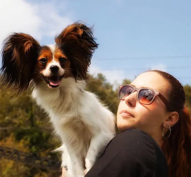 Atakent Köpek Eğitmeni foto 2