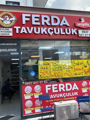 Anka Petshop Ve Akvaryum